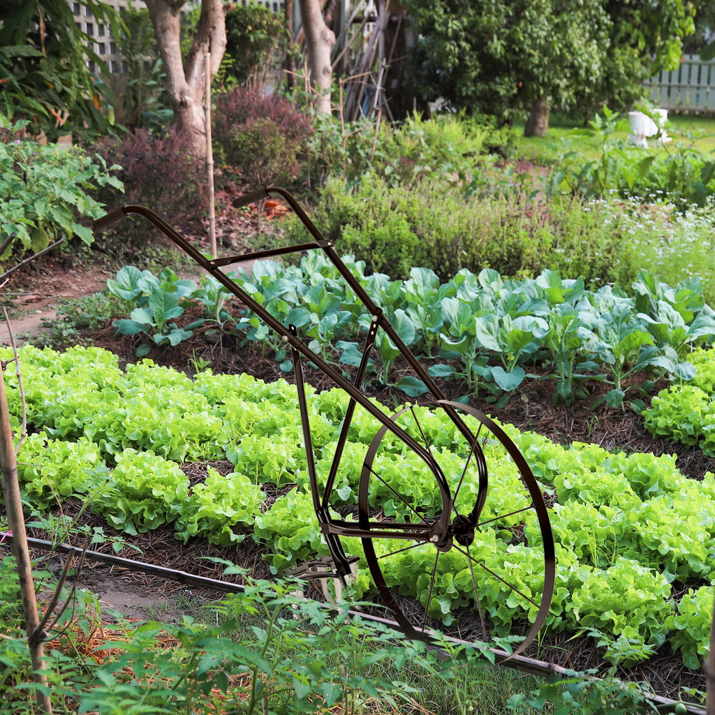 High Wheel Tubular High Wheel Cultivator with Comfort Handle with 3- Position Adjustable, Quick Change Implements, and 24 Inch Steel Wheel