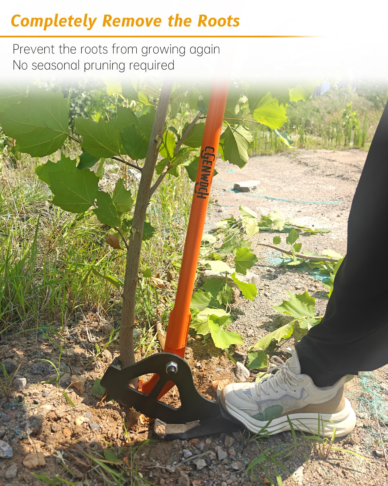 Medium Size Sapling Puller, Heavy-Duty High-Leverage Tree Puller Tool, Fully Uproots Woody Stems ¼ inch - 1 ⅜ inches, Suitable for Trees, Shrubs, Vines and Thorns with Large Root Systems