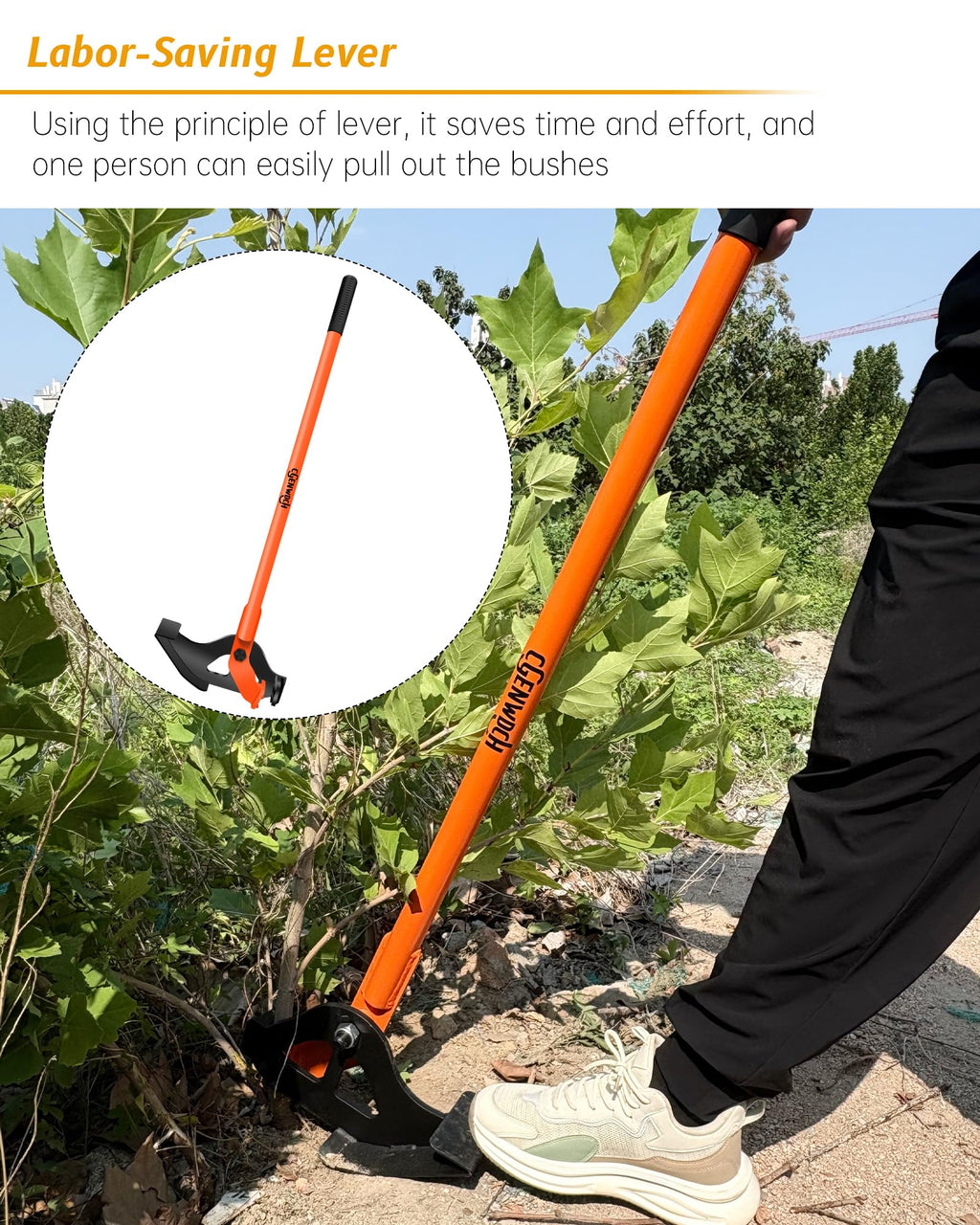 Medium Size Sapling Puller, Heavy-Duty High-Leverage Tree Puller Tool, Fully Uproots Woody Stems ¼ inch - 1 ⅜ inches, Suitable for Trees, Shrubs, Vines and Thorns with Large Root Systems