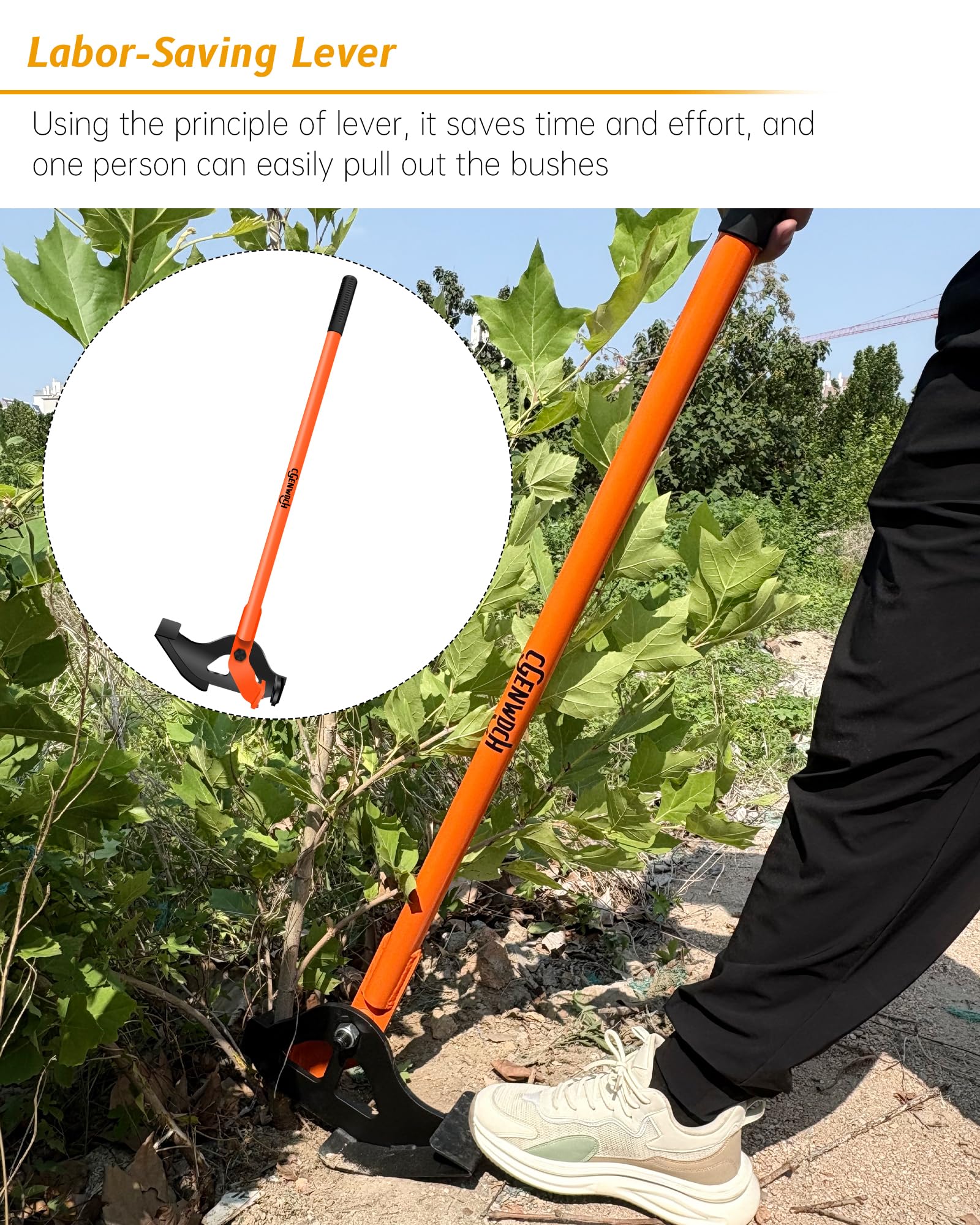 Medium Size Sapling Puller, Heavy-Duty High-Leverage Tree Puller Tool, Fully Uproots Woody Stems ¼ inch - 1 ⅜ inches, Suitable for Trees, Shrubs, Vines and Thorns with Large Root Systems
